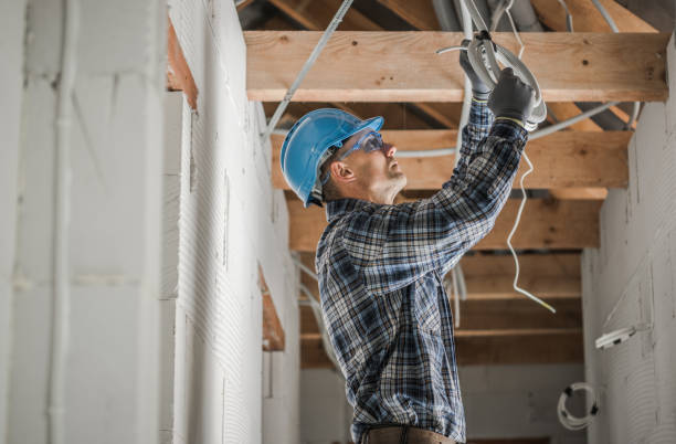 Best Electric Panel Repair  in Cerro Gordo, IL