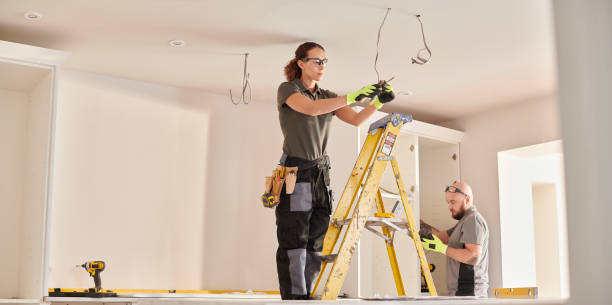 Best Ceiling Fan Installation Electrician  in Cerro Gordo, IL